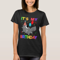 Dandys World Pebble Birthday Decoration For Kids B