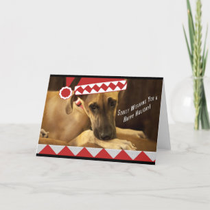 Dane Holiday Card