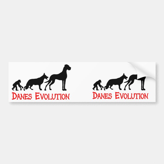 Danes Evolution Bumper Sticker (Front)