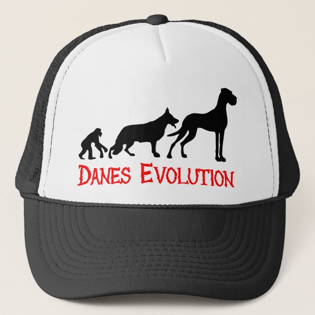 Danes Evolution Trucker Hat (Front)