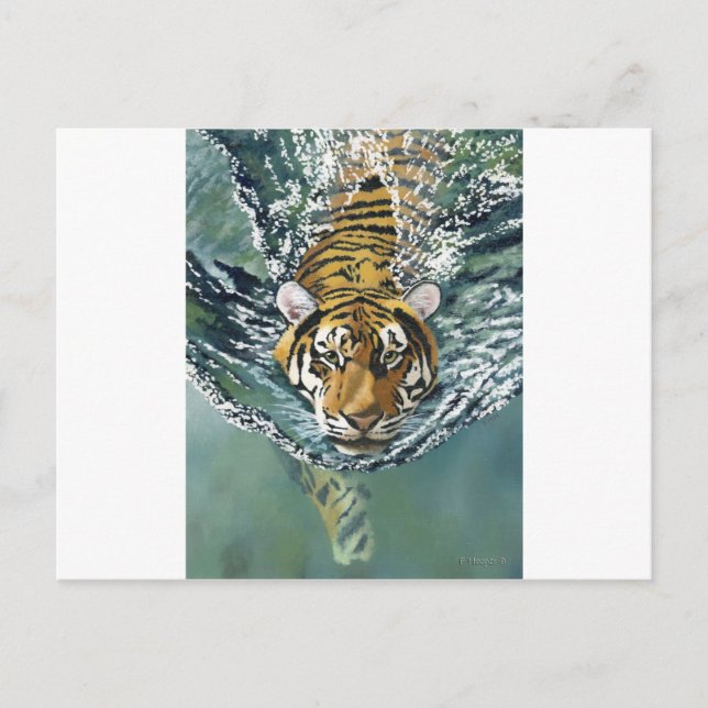 Danger Ahoy! Postcard (Front)