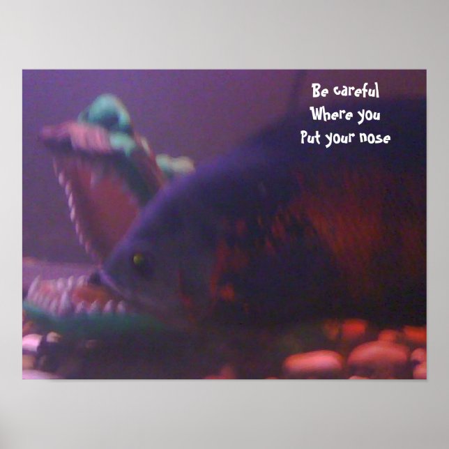 Danger area poster (Front)