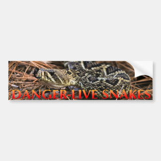 Danger Live Snakes Bumper Sticker