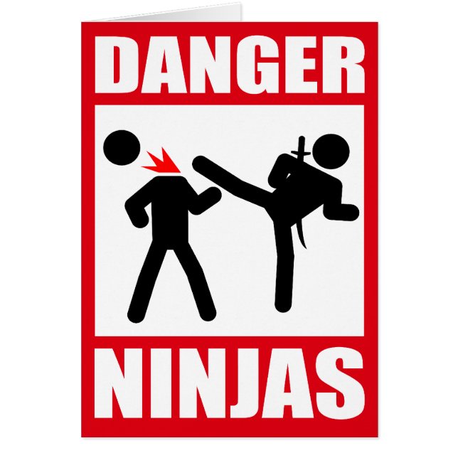 Danger Ninjas (Front)