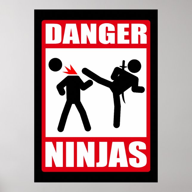 Danger Ninjas Poster (Front)