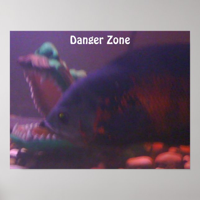 Danger Zone Poster (Front)