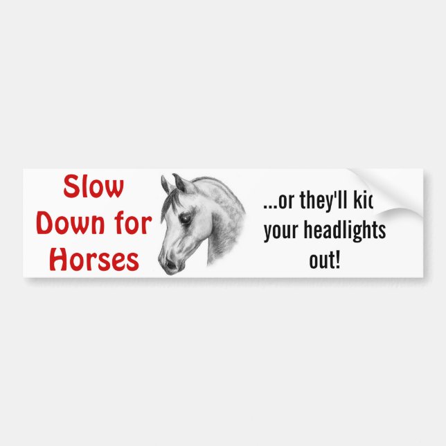 dangerous horses bumper sticker (Front)