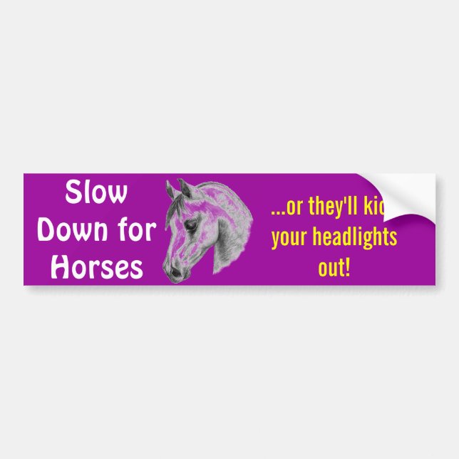 dangerous horses bumper sticker (Front)