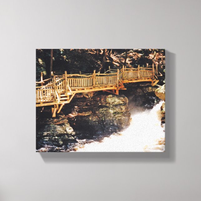 Dangerous Path Canvas Print (Front)