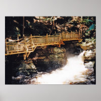 Dangerous Path