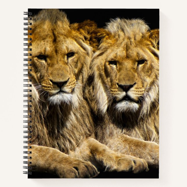 Dangerous Predator Lions Notebook (Front)