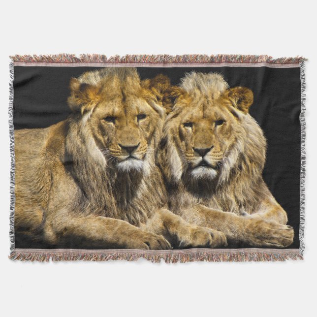 Dangerous Predator Lions Throw Blanket (Front)