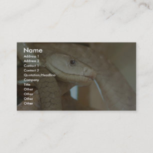Dangerous Snake On The Tree Business Card