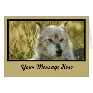 Dangerously Calm in tan