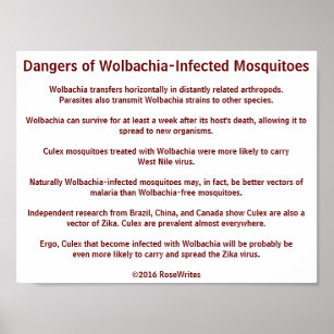 Dangers of Wolbachia Mosquitoes by RoseWrites Poster