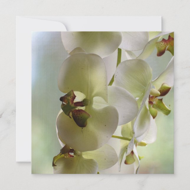 Dangling Orchid  Invitations (Front)