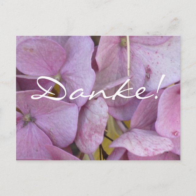 Danke! (Hortensia (pink)) - Postkarte Postcard (Front)