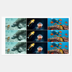 Danni the Mermaid and her friends  Labels