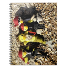 Danni the Mermaid and Pirates