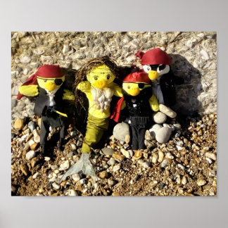 Danni the Mermaid and the Pirates Poster
