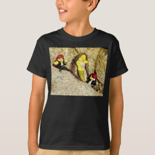 Danni the Mermaid with Pirates T-Shirt