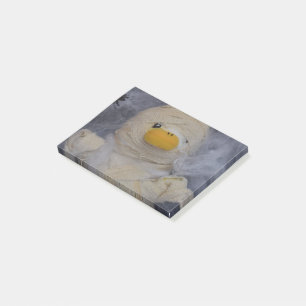 Danny Duck Post-it Notes