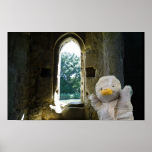 Danny Duck the Mummy Poster
