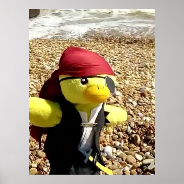 Danny Duck the Pirate Poster (Front)