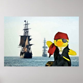 Danny Duck the Pirate. Poster