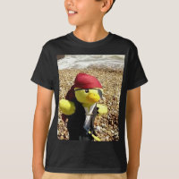 Danny Duck the Pirate