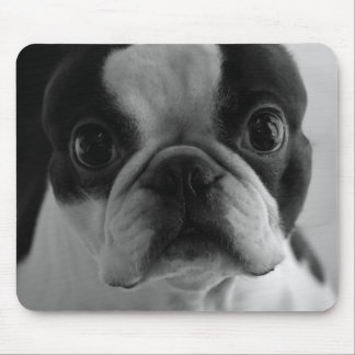 Danson Boston Terriers Mouse Mat
