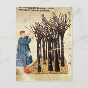 Dante and the Souls Transformed into Birds Postcard