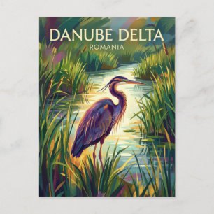 Danube Delta Romania Postcard
