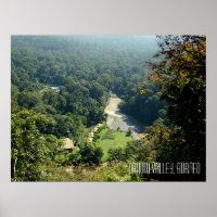 Danum Valley Borneo Rainforest Jungle Scene