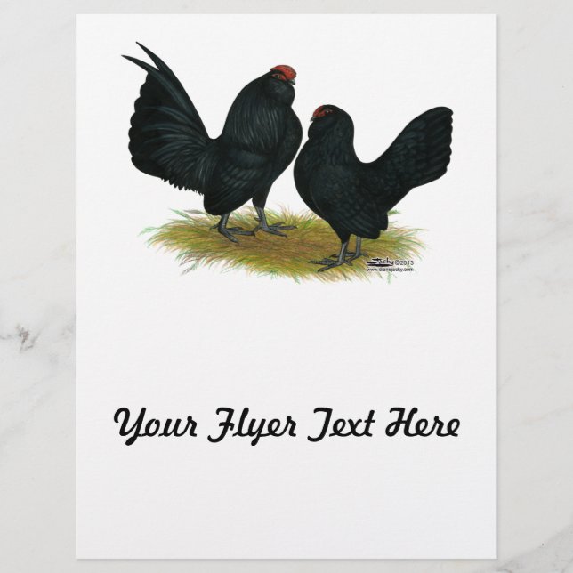 D'Anvers Black Bantams Flyer (Front)
