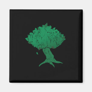 DAoC Hibernia Square Magnet