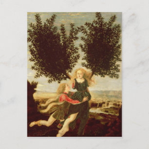 Daphne and Apollo, c.1470-80 Postcard