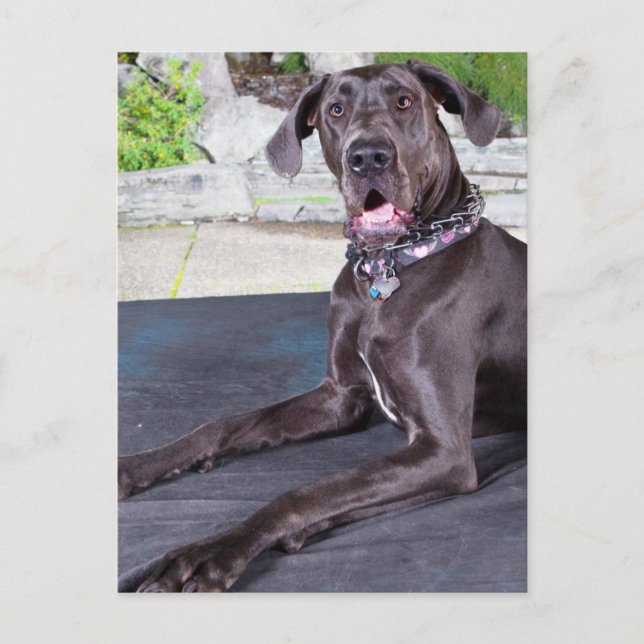 Daphne Postcard (Front)