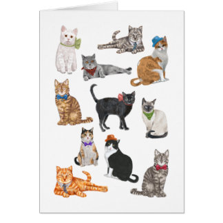 Dapper Cats