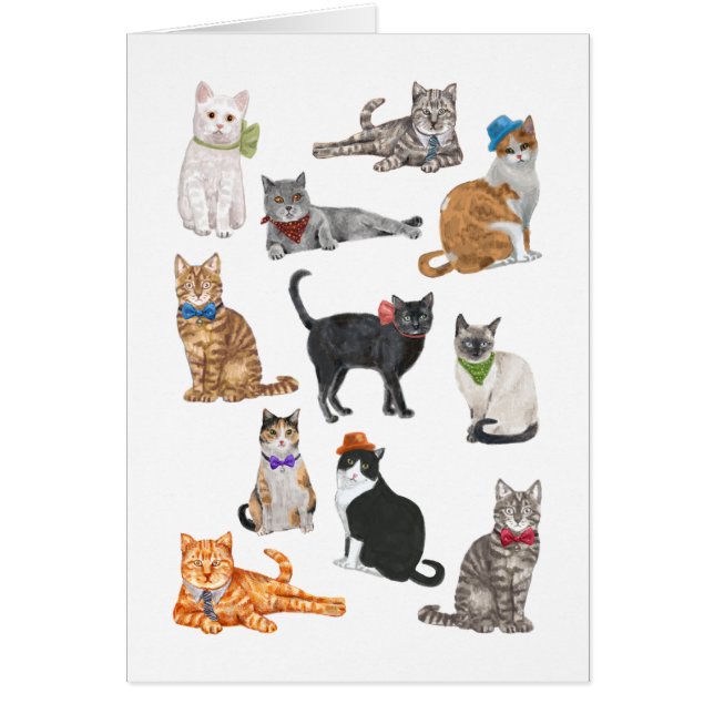 Dapper Cats (Front)