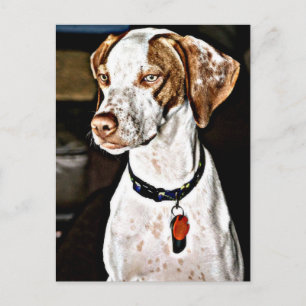 Dapper Dog Postcard