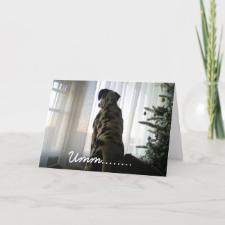 Dapper The Dalmation Holiday Card