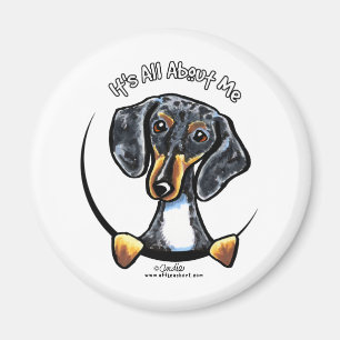 Dapple Dachshund Its All About Me Magnet