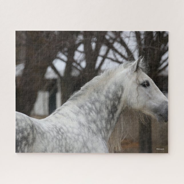 Dapple Grey Andalucian Stallion Headshot Jigsaw Puzzle (Horizontal)