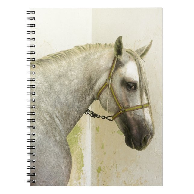 Dapple Grey Andalusian Horse Notebook (Front)