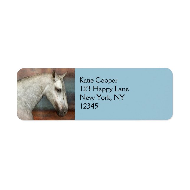 Dapple Grey Andalusian Horse Portrait (Front)