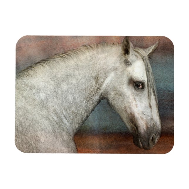 Dapple Grey Andalusian Horse Portrait Magnet (Horizontal)