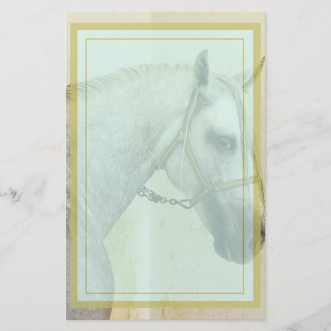 Dapple Grey Andalusian Horse Stationery (Front)