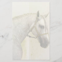 Dapple Grey Andalusian Horse