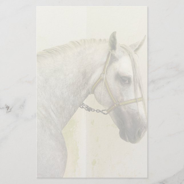 Dapple Grey Andalusian Horse Stationery (Front)